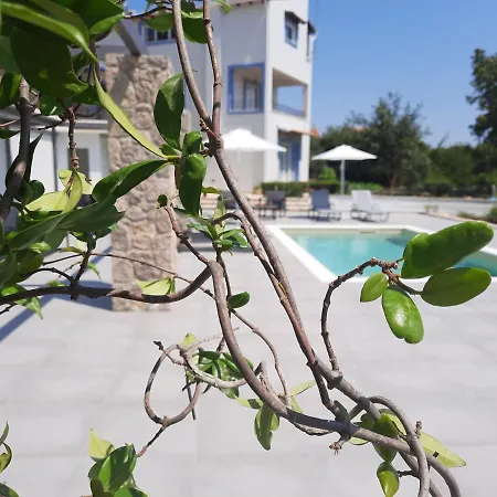 Ionian Juliet Apartament *